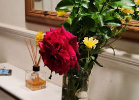 St Lucia women only lodge Leicester long stays 2