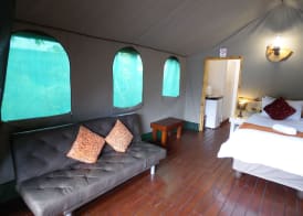 The Tree Top Village Urban Glamping 5
