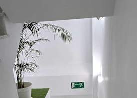 Candisol Cozy Inns 2