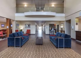 Comfort Suites Houston near Medical Center- NRG Stadium 2