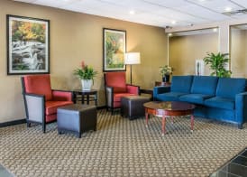 Comfort Suites Wixom - Novi 5