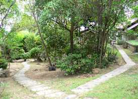 High Life Bungalow 4