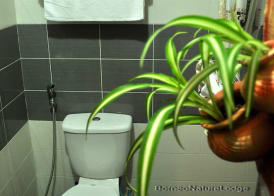Borneo Nature Lodge 5