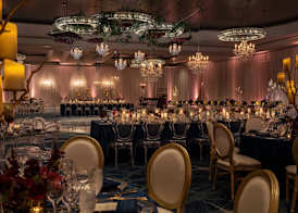 The Ritz-Carlton, Sarasota 3