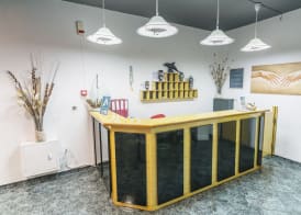 Alpha Studios 3