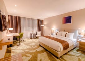Holiday Inn ULAANBAATAR by IHG 5