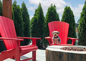 Home2 Suites By Hilton Huntsville 4