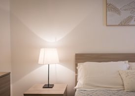 Rental in Rome Pelliccia 2