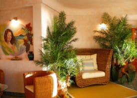 Tonicello Hotel Resort & SPA 3