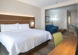 Holiday Inn Express & Suites DALLAS SOUTH - DESOTO by IHG 5