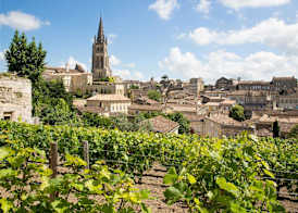 ibis Bordeaux Saint Emilion 5