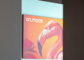 Onmood Cala Ratjada - Bed & Brunch 4