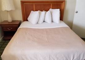 Oceanic Motel 5