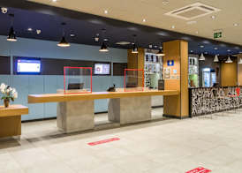Ibis Americana 2
