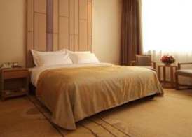 Days Inn Panyu 5