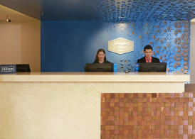 Hampton by Hilton Chihuahua 5