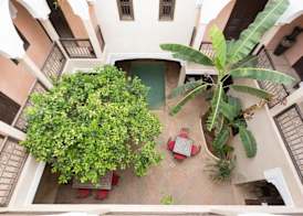 Riad l'Oiseau du Paradis 2