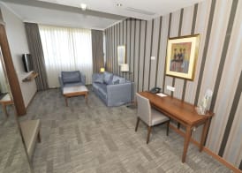 Holiday Inn SKOPJE by IHG 3