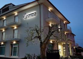 Hotel Palmensis 5