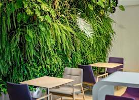 ibis Styles Budapest Airport 3