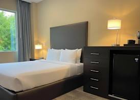Hotel Troy, Trademark Collection by Wyndham 3