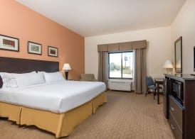 Holiday Inn Express & Suites LAFAYETTE EAST by IHG 4