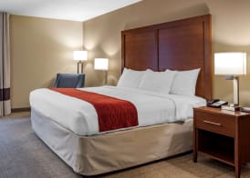 Comfort Inn Biltmore West 5