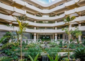 Paradisus Salinas Lanzarote - All Inclusive - Adults Only 3
