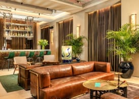 Brown Mamilla, a member of Brown Hotels 3
