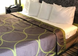 Super 8 by Wyndham Augusta 5
