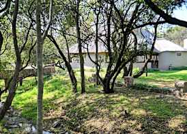 Warthogs Bush Lodge 5