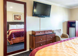Queencity Inn 5