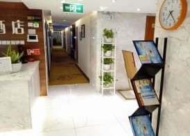 Cotton hotel 2