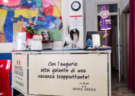 Hotel Eriale 2