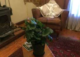 Harfield Guest Villa 3