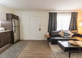 Hibiscus Suites - Sarasota 4