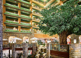 Chateau on the Lake Resort Spa and Convention Center 2