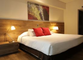 Mod Hotels Mendoza 4