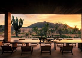 Paradero Todos Santos - Exclusive experiences included 5