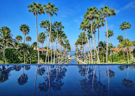 The St. Regis Punta Mita Resort 5