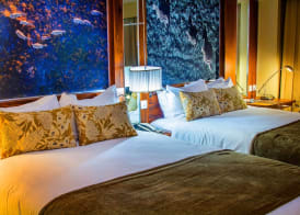 Monomotapa Hotel 5