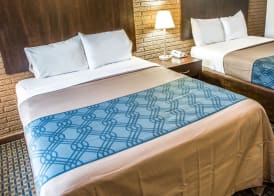 Rodeway Inn & Suites Wilmington North 4