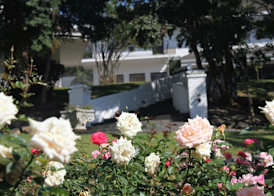Sheppard Boutique Hotel 2