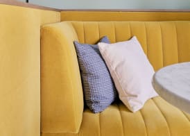 Schwan Locke 5