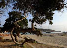 BA Style Apartments Ibiza 5