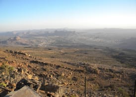 The View 5