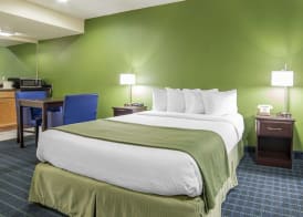 Quality Inn Needles 5