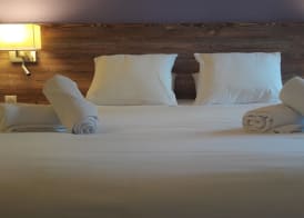 Brit Hotel Confort Pau Lons 4