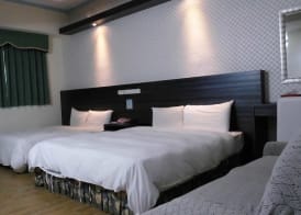 Modern Plaza Hotel 5