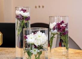 Hotel Donatello 4